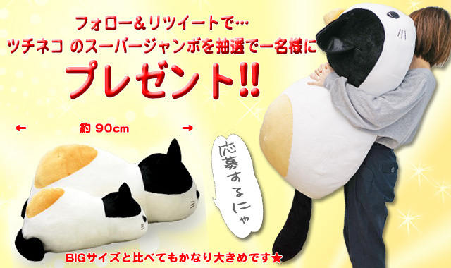 プレゼント企画 ツチネコ ミケスーパージャンボぬいぐるみプレゼント アミューズ最新情報 プレゼント企画 ツチネコ ミケスーパージャンボぬいぐるみプレゼント アミューズ最新情報