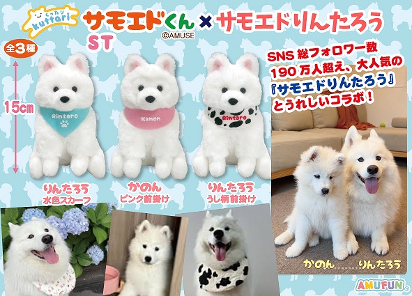 くったりサモエドくん&times;サモエドりんたろうST