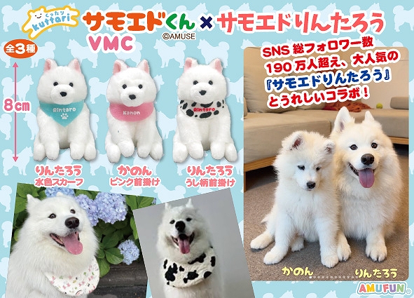 くったりサモエドくん&times;サモエドりんたろうVMC