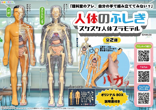 ≪9月の新商品≫くったりぽっちゃりくま-NEW ITEM！