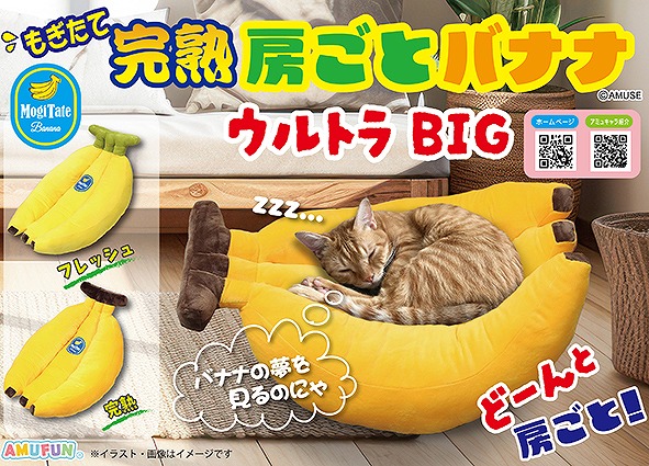 ≪1月の新商品≫ころはむコロンベリー★アミューズプライズ-NEW ITEM！
