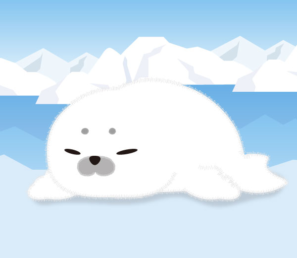 とうふちゃん