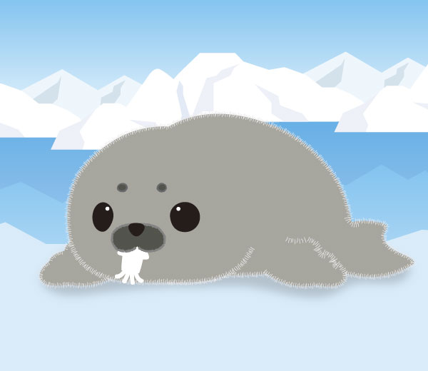 ツミレちゃん