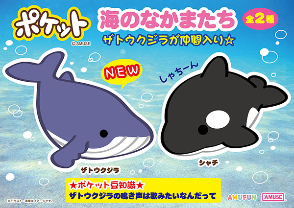 ≪3月の新商品≫アミューズプライズーNEW ITEM！★海のなかまたち★