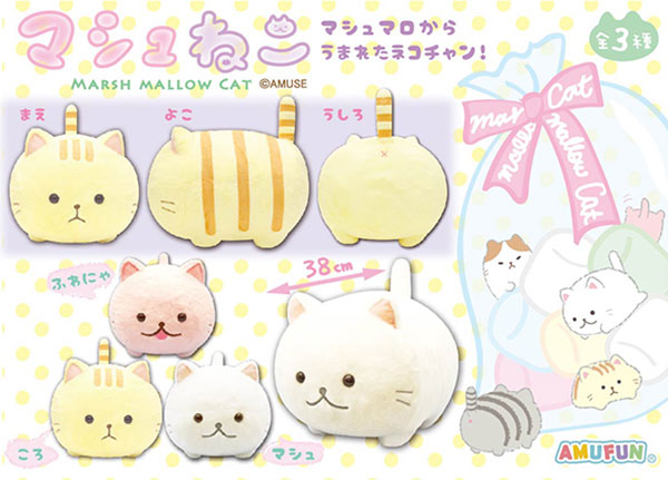 マシュねこ