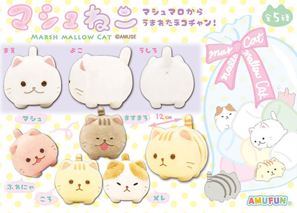 マシュねこ