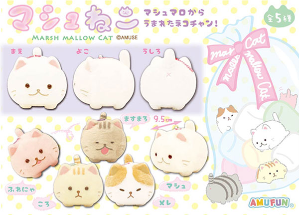 マシュねこ