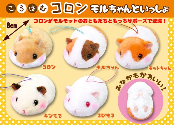 ≪7月の新商品≫ころはむコロンモルちゃんといっしょ☆アミューズ