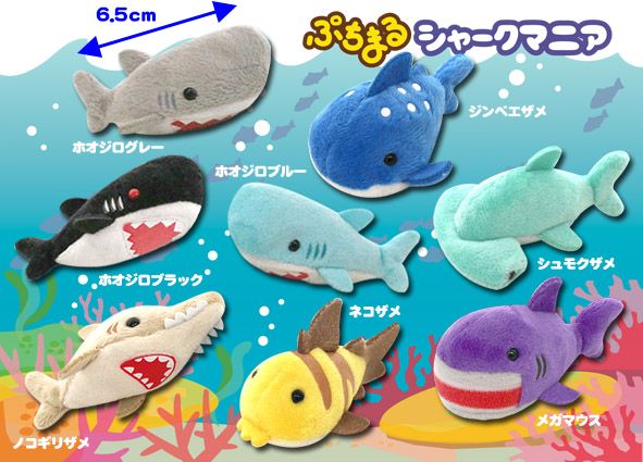 ≪8月の新商品≫ぷちまるシャークマニア★アミューズプライズ-NEW ITEM！