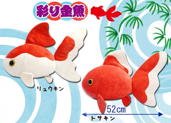 彩り金魚BIG
