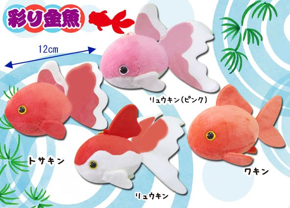 彩り金魚VMC