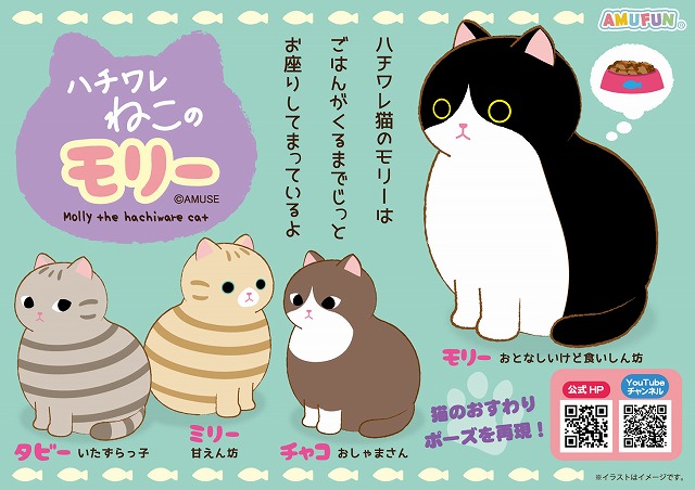 ≪8月の新商品≫ハチワレねこのモリー★アミューズプライズ-NEW ITEM！