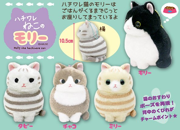 ≪8月の新商品≫ハチワレねこのモリー☆アミューズプライズ-NEW ITEM