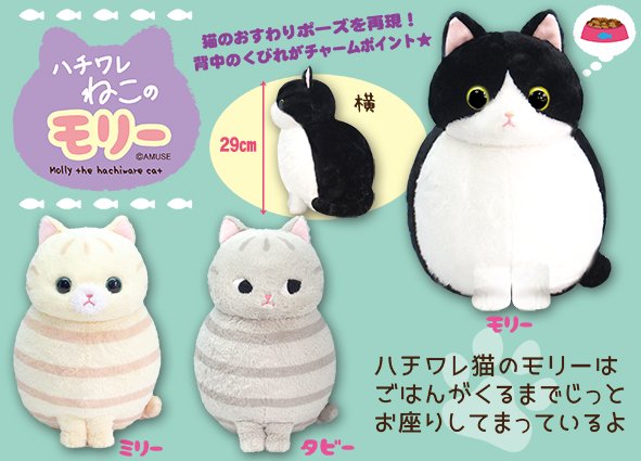 ≪8月の新商品≫ハチワレねこのモリー☆アミューズプライズ-NEW ITEM