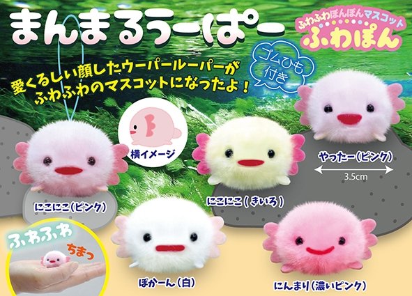 まんまるうーぱーふわぽん