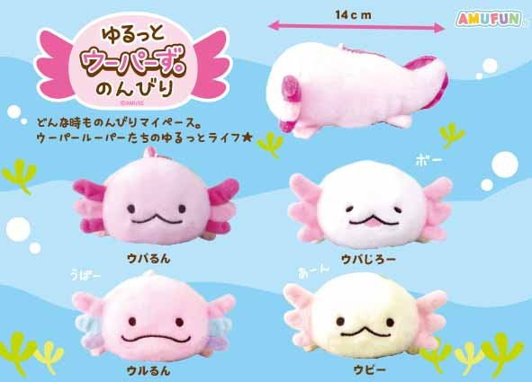 9月の新商品 ゆるっとウーパーずのんびり アミューズプライズ New Item アミューズ最新情報