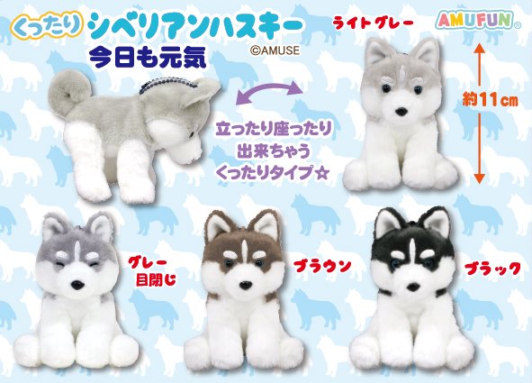 くったりシベリアンハスキー今日も元気 LMC
