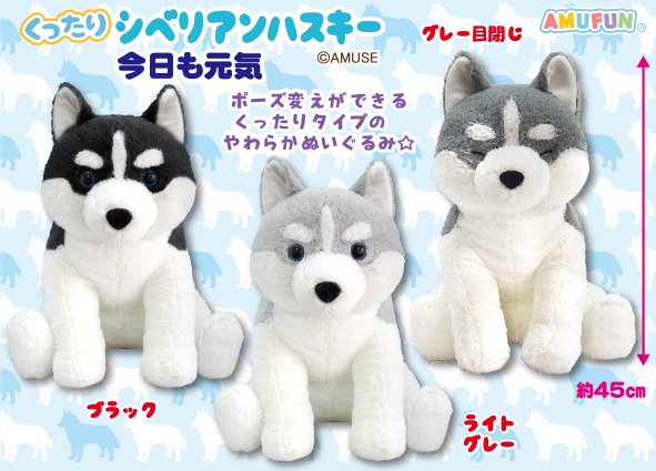 くったりシベリアンハスキー今日も元気ウルトラBIG