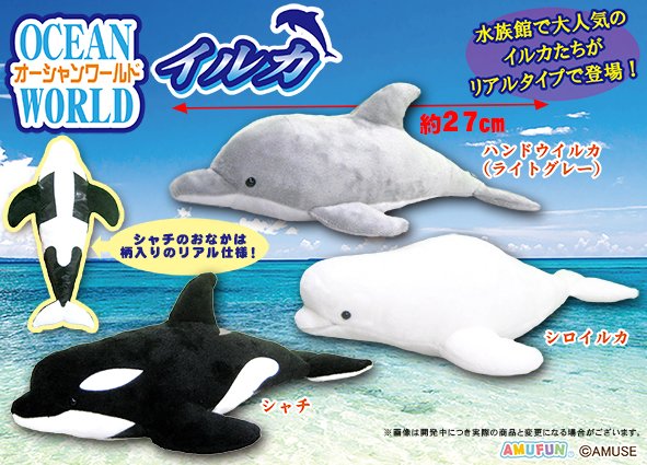 オーシャンワールドイルカ ST