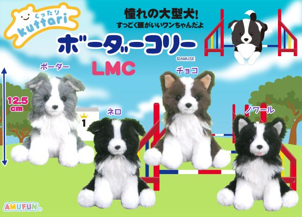 くったりボーダーコリー LMC