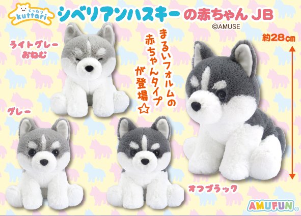 くったりシベリアンハスキーの赤ちゃんJB