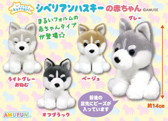 くったりシベリアンハスキーの赤ちゃんST