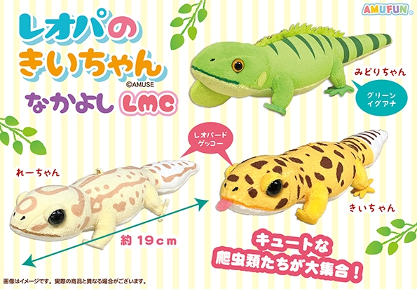 レオパのきいちゃんなかよしLMC