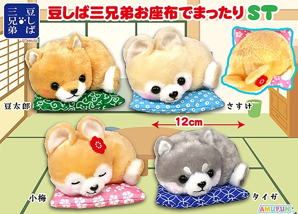 豆しば三兄弟お座布でまったりST