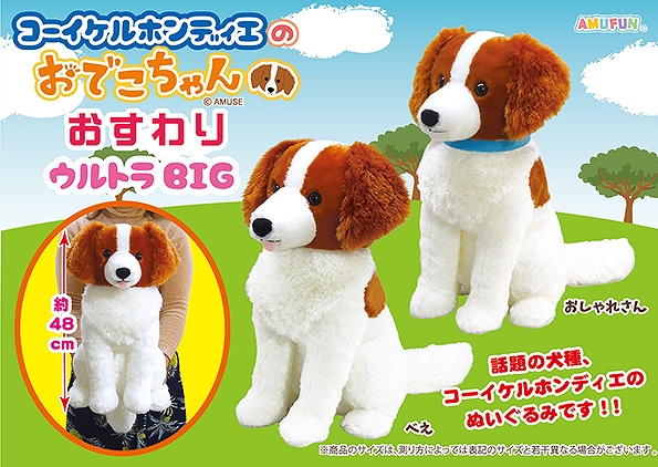 コーイケルホンディエのおでこちゃんおすわりウルトラBIG