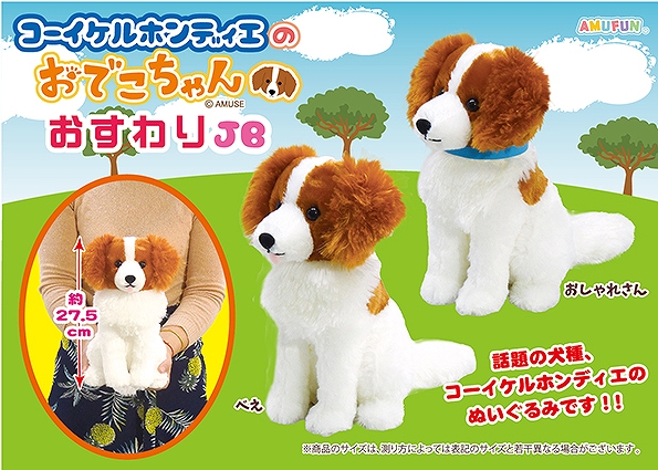 コーイケルホンディエのおでこちゃんおすわりJB
