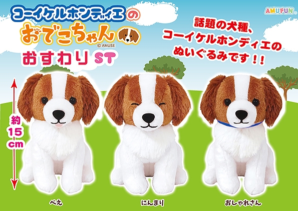 コーイケルホンディエのおでこちゃんおすわりST