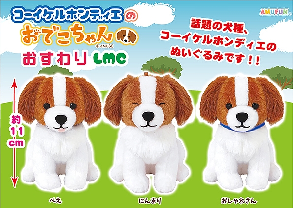 コーイケルホンディエのおでこちゃんおすわりLMC