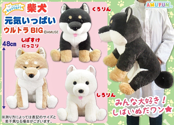 くったり柴犬元気いっぱいウルトラBIG