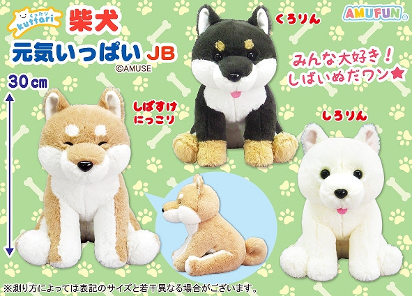 くったり柴犬元気いっぱいJB