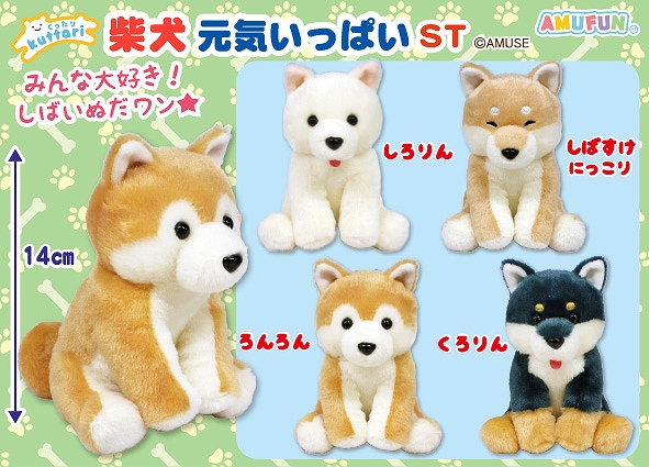 くったり柴犬元気いっぱいST