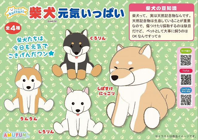 ≪8月の新商品≫シュナとボブごきげんお耳パタパタＪＢ-NEW ITEM！