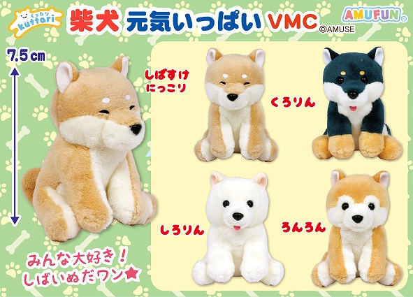 くったり柴犬元気いっぱいVMC