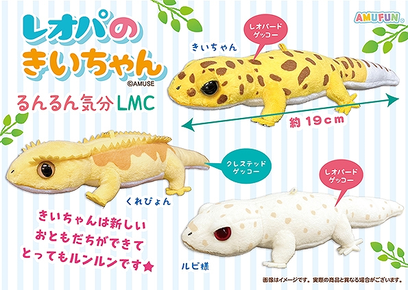 レオパのきいちゃんるんるん気分LMC