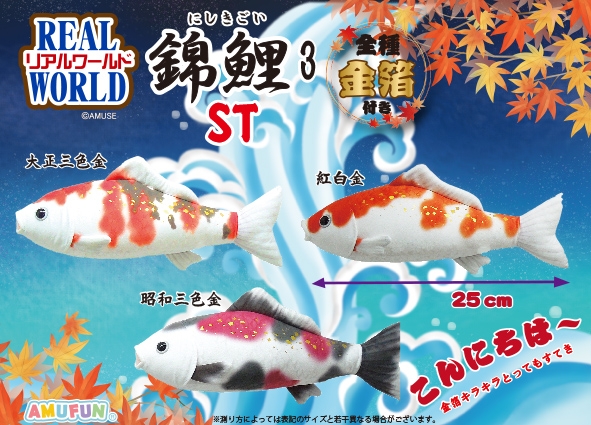 リアルワールド錦鯉3ST