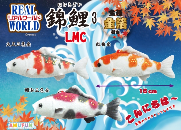リアルワールド錦鯉3LMC