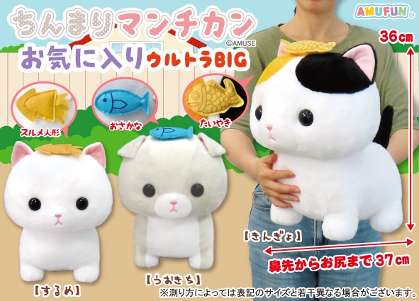 ちんまりマンチカンお気に入りウルトラBIG