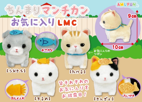 ちんまりマンチカンお気に入りLMC