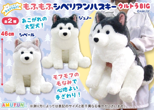くったりもふもふシベリアンハスキーウルトラBIG