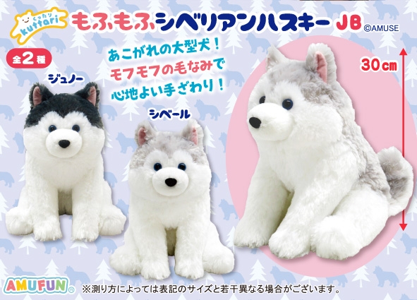 くったりもふもふシベリアンハスキーJB