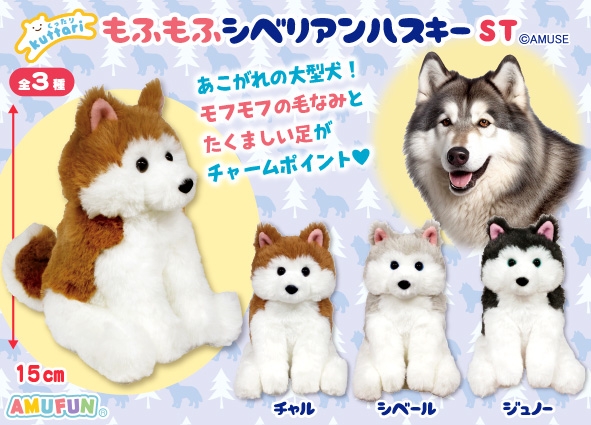 くったりもふもふシベリアンハスキーST