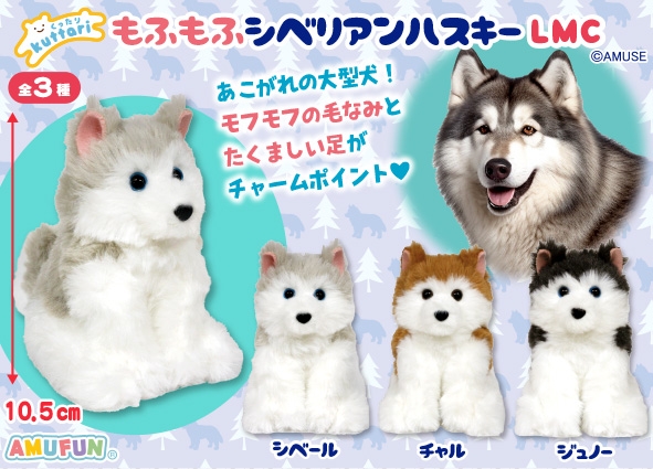 くったりもふもふシベリアンハスキーLMC