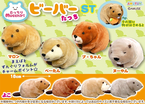 むっちりビーバーたっちST