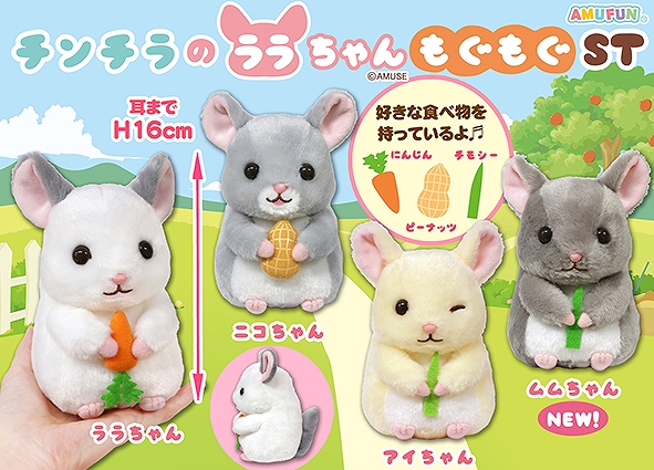 チンチラのララちゃんもぐもぐST