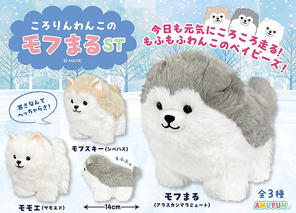 ころりんわんこのモフまるST