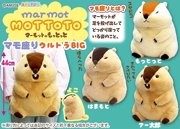 マーモットのもっとっとマモ座りウルトラBIG
